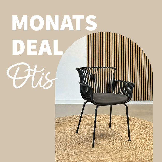 MONATSDEAL: OTIS